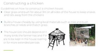 Tconstruct Reeds BMPs on Poultry Housing.pdf