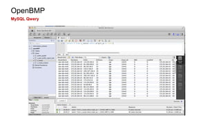 OpenBMP 
MySQL Qwery 
 