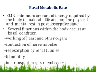BASAL METABOLIC RATE | PPTX