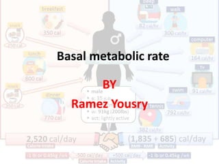 Basal metabolic rate
BY
Ramez Yousry
 