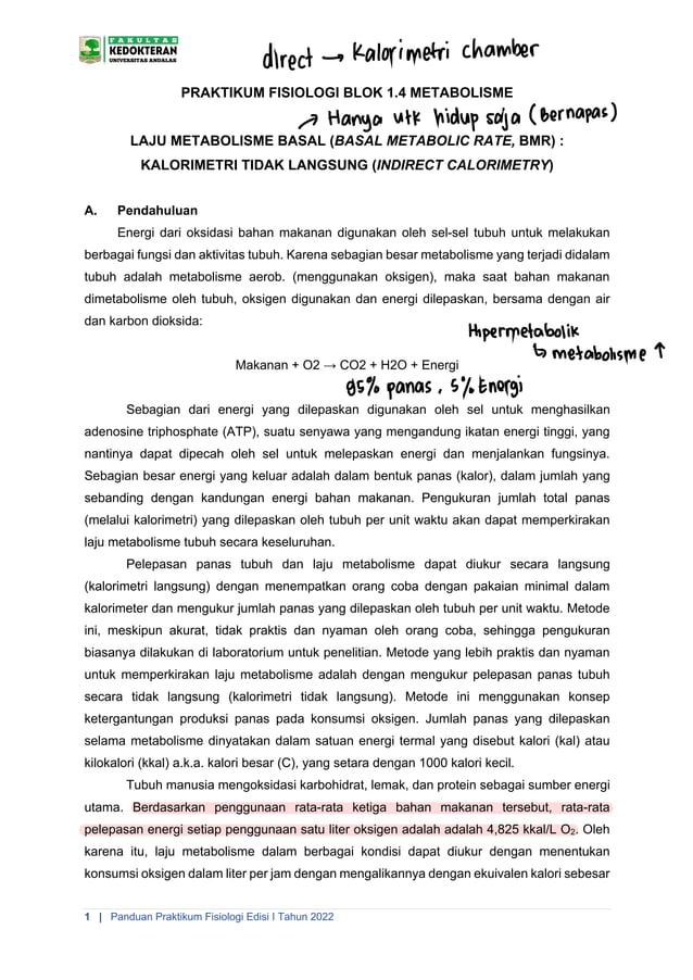 BMR Indirect Calorimetry Arief.pdf