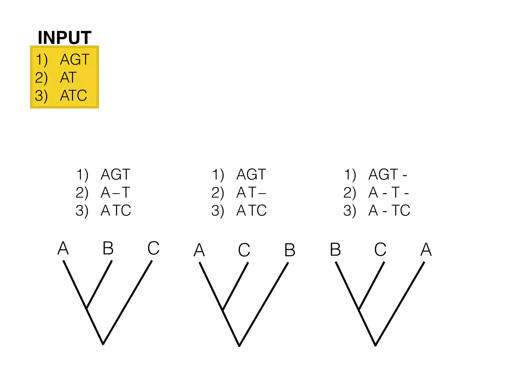 1) AGT
2) AT
3) ATC
1) AGT
2) A–T
3) ATC
1) AGT
2) AT–
3) ATC
1) AGT -
2) A - T -
3) A - TC
A B C A C B B C A
INPUT
 