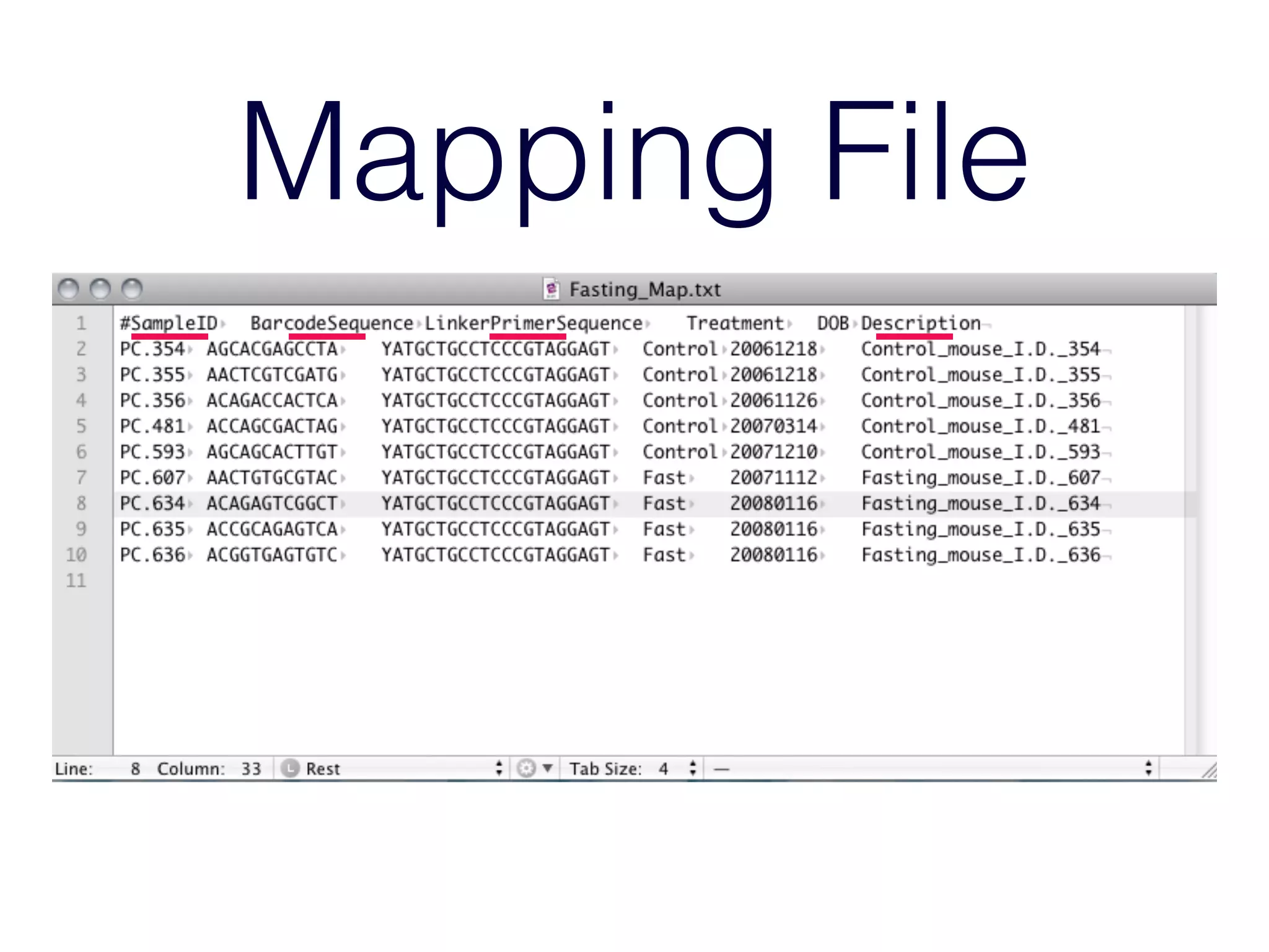 Mapping File
 