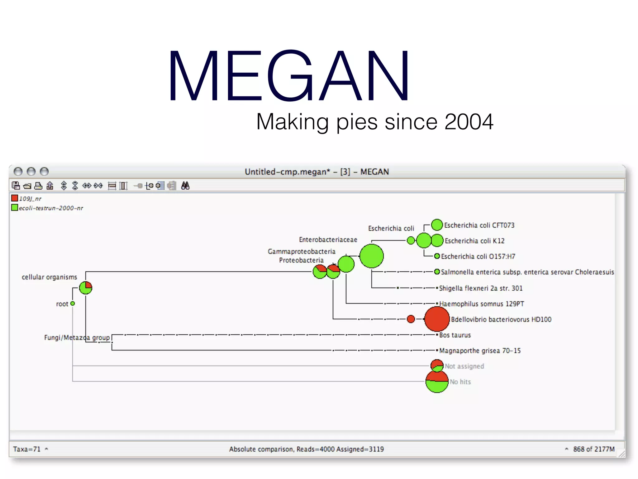 MEGANMaking pies since 2004
 