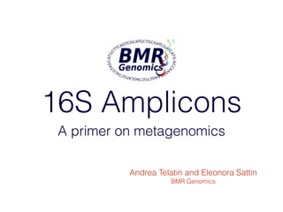 16S Amplicons
A primer on metagenomics
Andrea Telatin and Eleonora Sattin
BMR Genomics
 