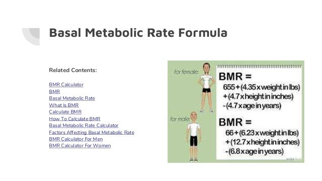 Resting Metabolic Rate Chart