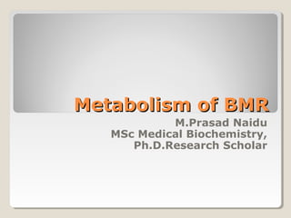 Metabolism of BMRMetabolism of BMR
M.Prasad Naidu
MSc Medical Biochemistry,
Ph.D.Research Scholar
 