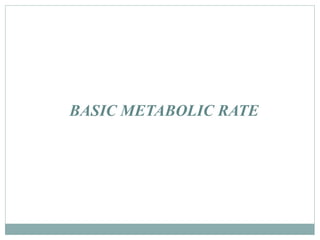 Base Metabolic Rate