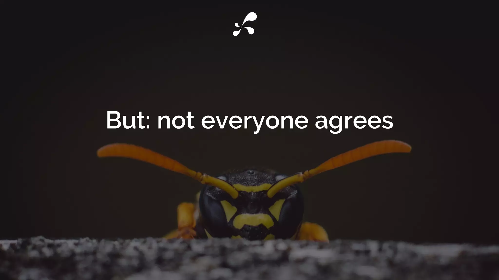 But: not everyone agrees
 