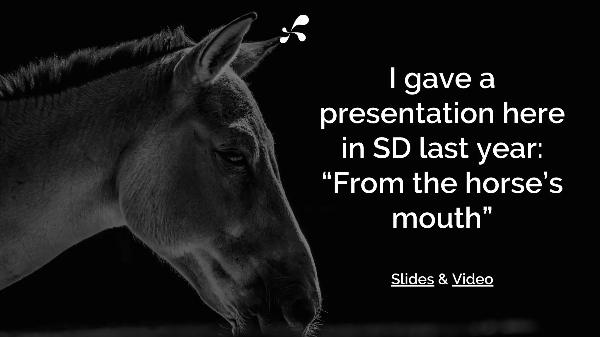 I gave a
presentation here
in SD last year:
“From the horse’s
mouth”
Slides & Video
 