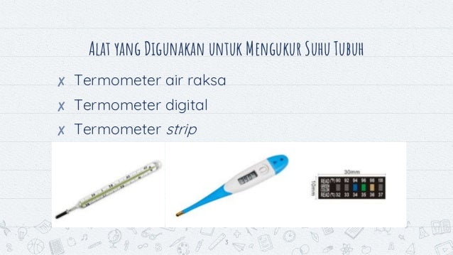 Regulasi Suhu Tubuh: Kipas Alami yang Efisien