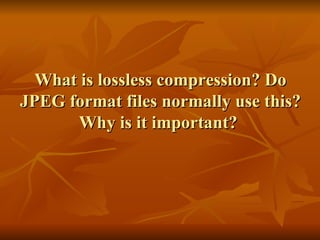 What is lossless compression? Do JPEG format files normally use this? Why is it important?  