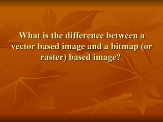 What is the difference between a vector based image and a bitmap (or raster) based image?  