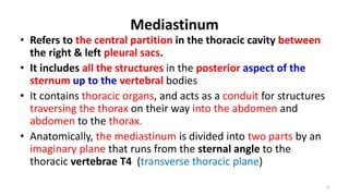 BMS Mediastinum.gross anatomy year 2.1 exrensive | PDF