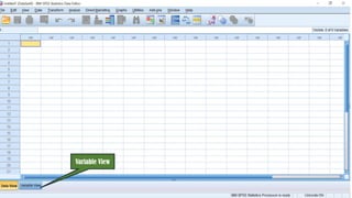 Variable View
 