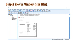 Output Viewer Window (.spv files)
 