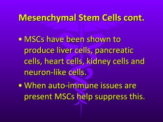 Mesenchymal Stem Cells cont. MSCs have been shown to produce liver cells, pancreatic cells, heart cells, kidney cells and neuron-like cells. When auto-immune issues are present MSCs help suppress this. 