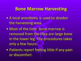Bone Marrow Harvesting A local anesthetic is used to deaden the harvesting area.  Most of the time  bone marrow is removed from the tibia are large bone in the lower leg. The procedures takes only a few hours. Patients report feeling little if any pain or discomfort. 