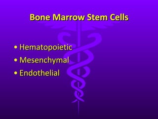 Bone Marrow Stem Cells Hematopoietic  Mesenchymal  Endothelial  