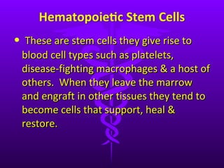 These are stem cells they give rise to blood cell types such as platelets, disease-fighting macrophages & a host of others.  When they leave the marrow and engraft in other tissues they tend to become cells that support, heal & restore. 