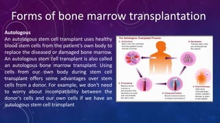 Forms of bone marrow transplantation
Autologous
An autologous stem cell transplant uses healthy
blood stem cells from the patient’s own body to
replace the diseased or damaged bone marrow.
An autologous stem cell transplant is also called
an autologous bone marrow transplant. Using
cells from our own body during stem cell
transplant offers some advantages over stem
cells from a donor. For example, we don't need
to worry about incompatibility between the
donor's cells and our own cells if we have an
autologous stem cell transplant
 