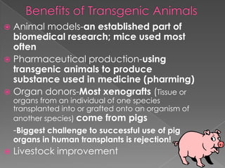 Bmt challenges in biomedical research | PPTX