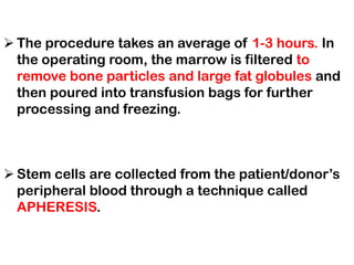 ➢ The procedure takes an average of 1-3 hours. In
the operating room, the marrow is filtered to
remove bone particles and large fat globules and
then poured into transfusion bags for further
processing and freezing.
➢ Stem cells are collected from the patient/donor’s
peripheral blood through a technique called
APHERESIS.
 