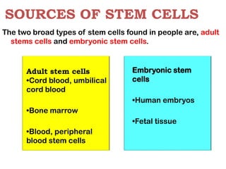 SOURCES OF STEM CELLS
The two broad types of stem cells found in people are, adult
stems cells and embryonic stem cells.
Adult stem cells
•Cord blood, umbilical
cord blood
•Bone marrow
•Blood, peripheral
blood stem cells
Embryonic stem
cells
•Human embryos
•Fetal tissue
 
