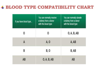 BLOOD TYPE COMPATIBILITY CHART
 