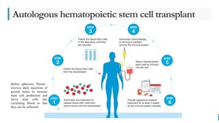 BEST FOR You
O R G A N I C S C O M P A N Y
Autologous hematopoietic stem cell transplant
Before apheresis: Patient
receives daily injections of
growth factor to increase
stem cell production and
move stem cells into
circulating blood so that
they can be collected.
 