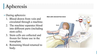 BEST FOR You
O R G A N I C S C O M P A N Y
Apheresis
» During apheresis:
1. Blood drawn from vein and
circulated through a machine.
2. The machine separates blood
into different parts (including
stem cells).
3. Stem cells are collected and
frozen for future use in the
transplant.
4. Remaining blood returned to
body.
 