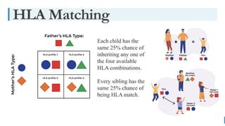 BEST FOR You
O R G A N I C S C O M P A N Y
HLA Matching
Each child has the
same 25% chance of
inheriting any one of
the four available
HLA combinations.
Every sibling has the
same 25% chance of
being HLA match.
 