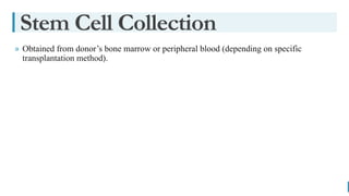 BEST FOR You
O R G A N I C S C O M P A N Y
» Obtained from donor’s bone marrow or peripheral blood (depending on specific
transplantation method).
Stem Cell Collection
 