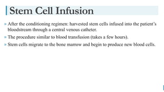 BEST FOR You
O R G A N I C S C O M P A N Y
» After the conditioning regimen: harvested stem cells infused into the patient’s
bloodstream through a central venous catheter.
» The procedure similar to blood transfusion (takes a few hours).
» Stem cells migrate to the bone marrow and begin to produce new blood cells.
Stem Cell Infusion
 