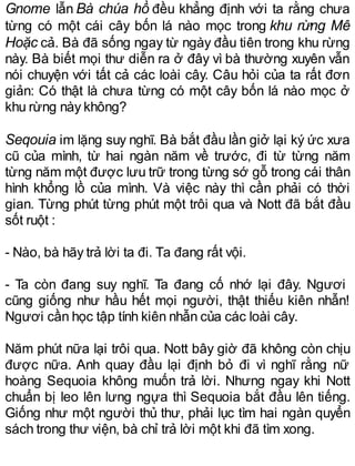 Gnome lẫn Bà chúa hồ đều khẳng định với ta rằng chưa
từng có một cái cây bốn lá nào mọc trong khu rừng Mê
Hoặc cả. Bà đã sống ngay từ ngày đầu tiên trong khu rừng
này. Bà biết mọi thư diễn ra ở đây vì bà thường xuyên vẫn
nói chuyện với tất cả các loài cây. Câu hỏi của ta rất đơn
giản: Có thật là chưa từng có một cây bốn lá nào mọc ở
khu rừng này không?
Seqouia im lặng suy nghĩ. Bà bắt đầu lần giở lại ký ức xưa
cũ của mình, từ hai ngàn năm về trước, đi từ từng năm
từng năm một được lưu trữ trong từng sớ gỗ trong cái thân
hình khổng lồ của mình. Và việc này thì cần phải có thời
gian. Từng phút từng phút một trôi qua và Nott đã bắt đầu
sốt ruột :
- Nào, bà hãy trả lời ta đi. Ta đang rất vội.
- Ta còn đang suy nghĩ. Ta đang cố nhớ lại đây. Ngươi
cũng giống như hầu hết mọi người, thật thiếu kiên nhẫn!
Ngươi cần học tập tính kiên nhẫn của các loài cây.
Năm phút nữa lại trôi qua. Nott bây giờ đã không còn chịu
được nữa. Anh quay đầu lại định bỏ đi vì nghĩ rằng nữ
hoàng Sequoia không muốn trả lời. Nhưng ngay khi Nott
chuẩn bị leo lên lưng ngựa thì Sequoia bắt đầu lên tiếng.
Giống như một người thủ thư, phải lục tìm hai ngàn quyển
sách trong thư viện, bà chỉ trả lời một khi đã tìm xong.
 