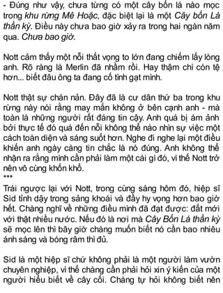 - Đúng như vậy, chưa từng có một cây bốn lá nào mọc
trong khu rừng Mê Hoặc, đặc biệt lại là một Cây bốn Lá
thần kỳ. Điều này chưa bao giờ xảy ra trong hai ngàn năm
qua. Chưa bao giờ.
Nott cảm thấy một nỗi thất vọng to lớn đang chiếm lấy lòng
anh. Rõ ràng là Merlin đã nhầm rồi. Hay thậm chí còn tệ
hơn... biết đâu ông ta đang cố tình gạt mình.
Nott thật sự chán nản. Đây đã là cư dân thứ ba trong khu
rừng này nói rằng may mắn không ở bên cạnh anh - mà
toàn là những người rất đáng tin cậy. Anh quá bị ám ảnh
bởi thực tế đó quá đến nỗi không thể nào nhìn sự việc một
cách toàn diện và sáng suốt hơn. Nghe đi nghe lại một điều
khiến anh ngày càng tin chắc là nó đúng. Anh không thể
nhận ra rằng mình cần phải làm một cái gìđó, vìthế Nott trở
nên vô cùng khốn khổ.
***
Trái ngược lại với Nott, trong cùng sáng hôm đó, hiệp sĩ
Sid tỉnh dậy trong sảng khoái và đầy hy vọng hơn bao giờ
hết. Chàng nghĩ về những điều mình đã đạt được: đất mới
với thật nhiều nước. Nếu đó là nơi mà Cây Bốn Lá thần kỳ
sẽ mọc lên thì bây giờ chàng muốn biết nó cần bao nhiêu
ánh sáng và bóng râm thìđủ.
Sid là một hiệp sĩ chứ không phải là một người làm vườn
chuyên nghiệp, vì thế chàng cần phải hỏi xin ý kiến của một
người hiểu biết về cây cối. Chàng tự hỏi không biết nên
 