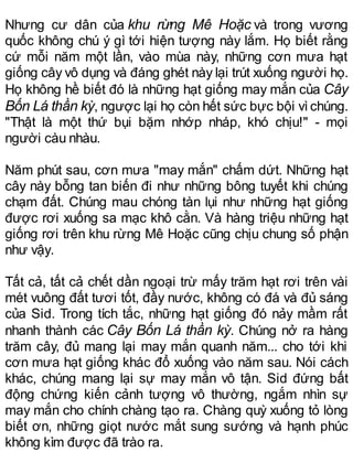 Nhưng cư dân của khu rừng Mê Hoặc và trong vương
quốc không chú ý gì tới hiện tượng này lắm. Họ biết rằng
cứ mỗi năm một lần, vào mùa này, những cơn mưa hạt
giống cây vô dụng và đáng ghét này lại trút xuống người họ.
Họ không hề biết đó là những hạt giống may mắn của Cây
Bốn Lá thần kỳ, ngược lại họ còn hết sức bực bội vìchúng.
"Thật là một thứ bụi bặm nhớp nháp, khó chịu!" - mọi
người càu nhàu.
Năm phút sau, cơn mưa "may mắn" chấm dứt. Những hạt
cây này bỗng tan biến đi như những bông tuyết khi chúng
chạm đất. Chúng mau chóng tàn lụi như những hạt giống
được rơi xuống sa mạc khô cằn. Và hàng triệu những hạt
giống rơi trên khu rừng Mê Hoặc cũng chịu chung số phận
như vậy.
Tất cả, tất cả chết dần ngoại trừ mấy trăm hạt rơi trên vài
mét vuông đất tươi tốt, đầy nước, không có đá và đủ sáng
của Sid. Trong tích tắc, những hạt giống đó nảy mầm rất
nhanh thành các Cây Bốn Lá thần kỳ. Chúng nở ra hàng
trăm cây, đủ mang lại may mắn quanh năm... cho tới khi
cơn mưa hạt giống khác đổ xuống vào năm sau. Nói cách
khác, chúng mang lại sự may mắn vô tận. Sid đứng bất
động chứng kiến cảnh tượng vô thường, ngắm nhìn sự
may mắn cho chính chàng tạo ra. Chàng quỳ xuống tỏ lòng
biết ơn, những giọt nước mắt sung sướng và hạnh phúc
không kìm được đã trào ra.
 