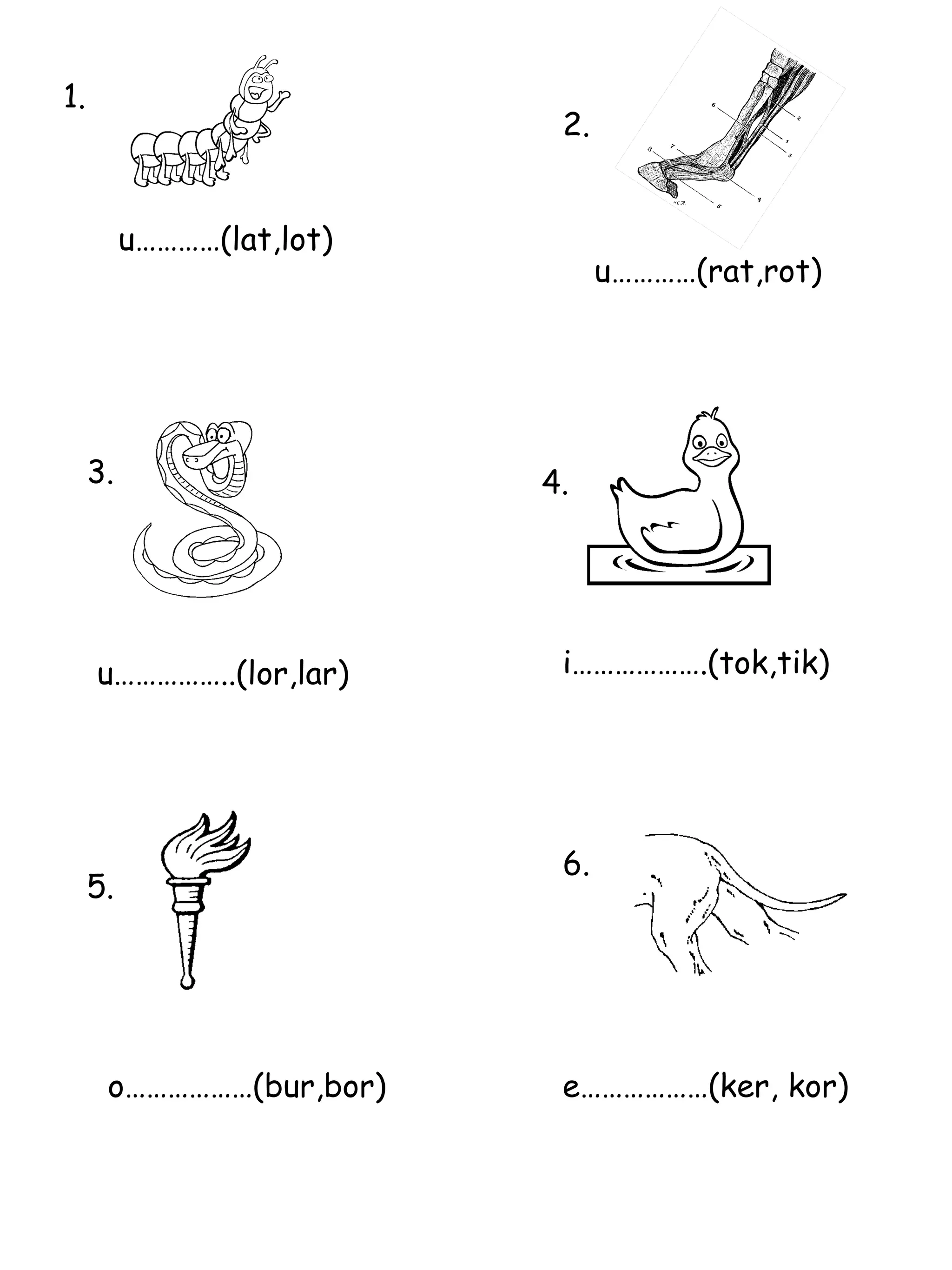 u…………(lat,lot) 1. 2. u…………(rat,rot) 3. u……………..(lor,lar) 4. i……………….(tok,tik) 5. 6. o………………(bur,bor) e………………(ker, kor) 