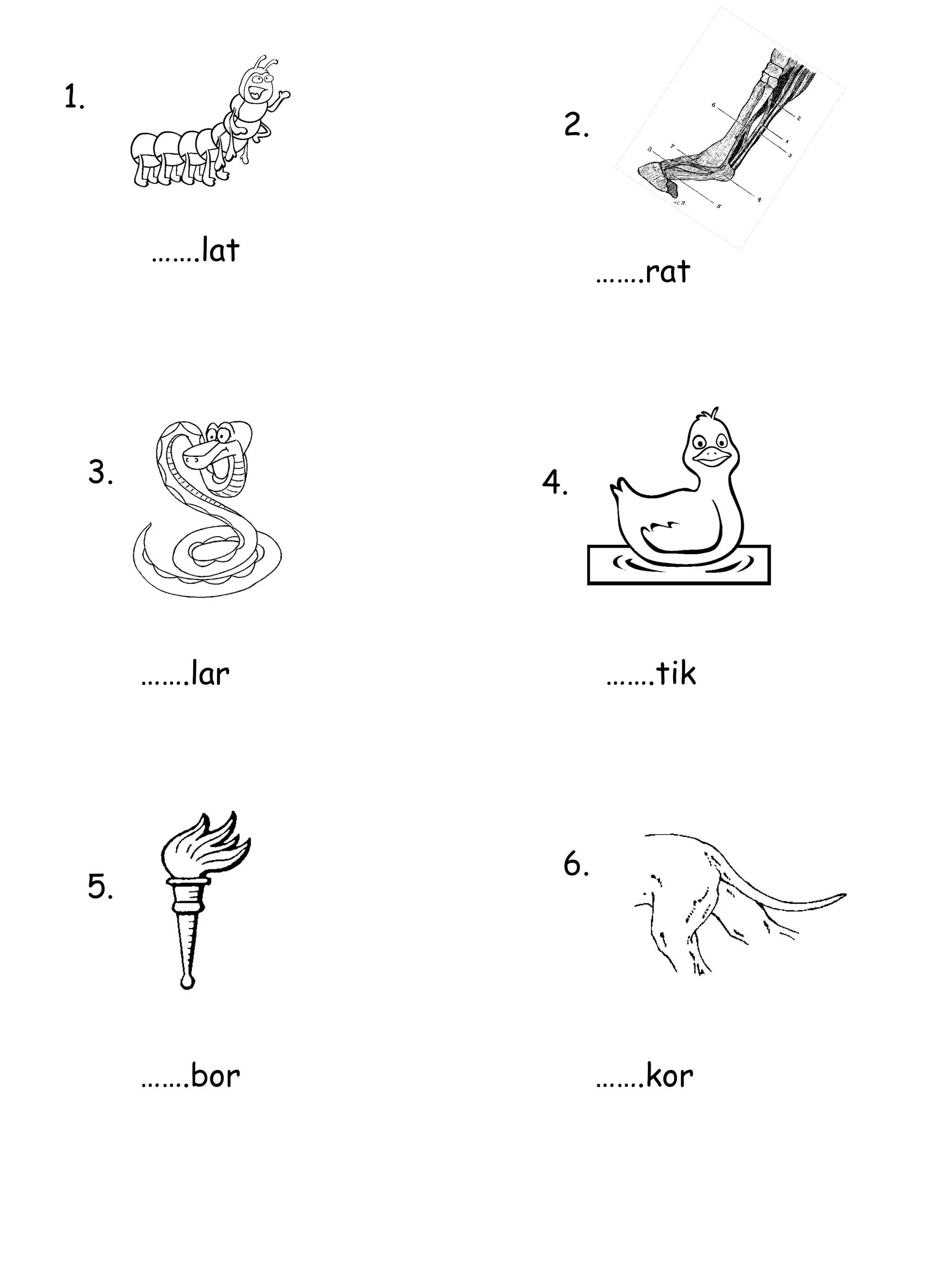 …… .lat 1. 2. …… .rat 3. …… .lar 4. …… .tik 5. 6. …… .bor …… .kor 