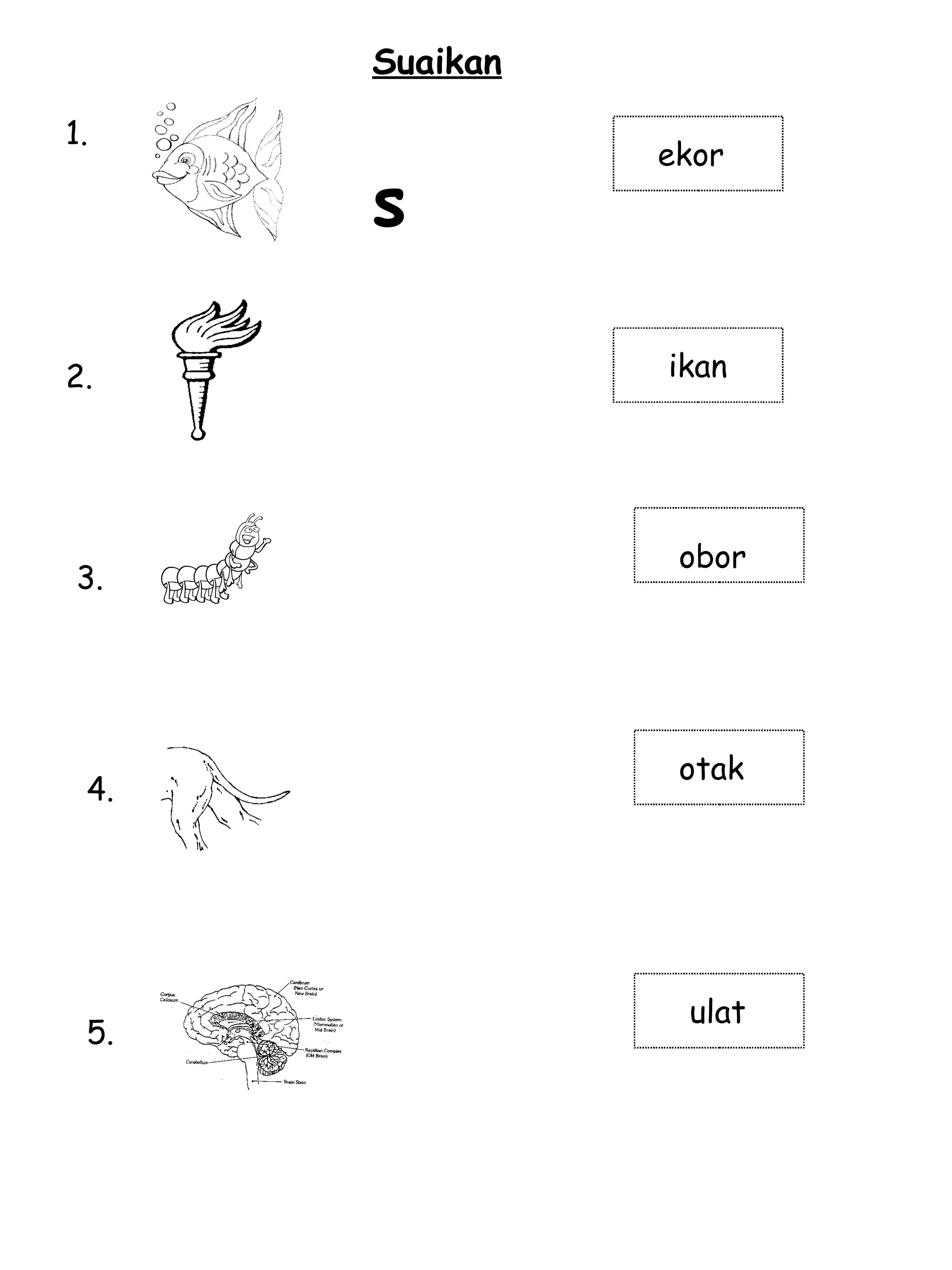 1. 2. 3. 4. 5. ikan obor ekor otak ulat Suaikan s 