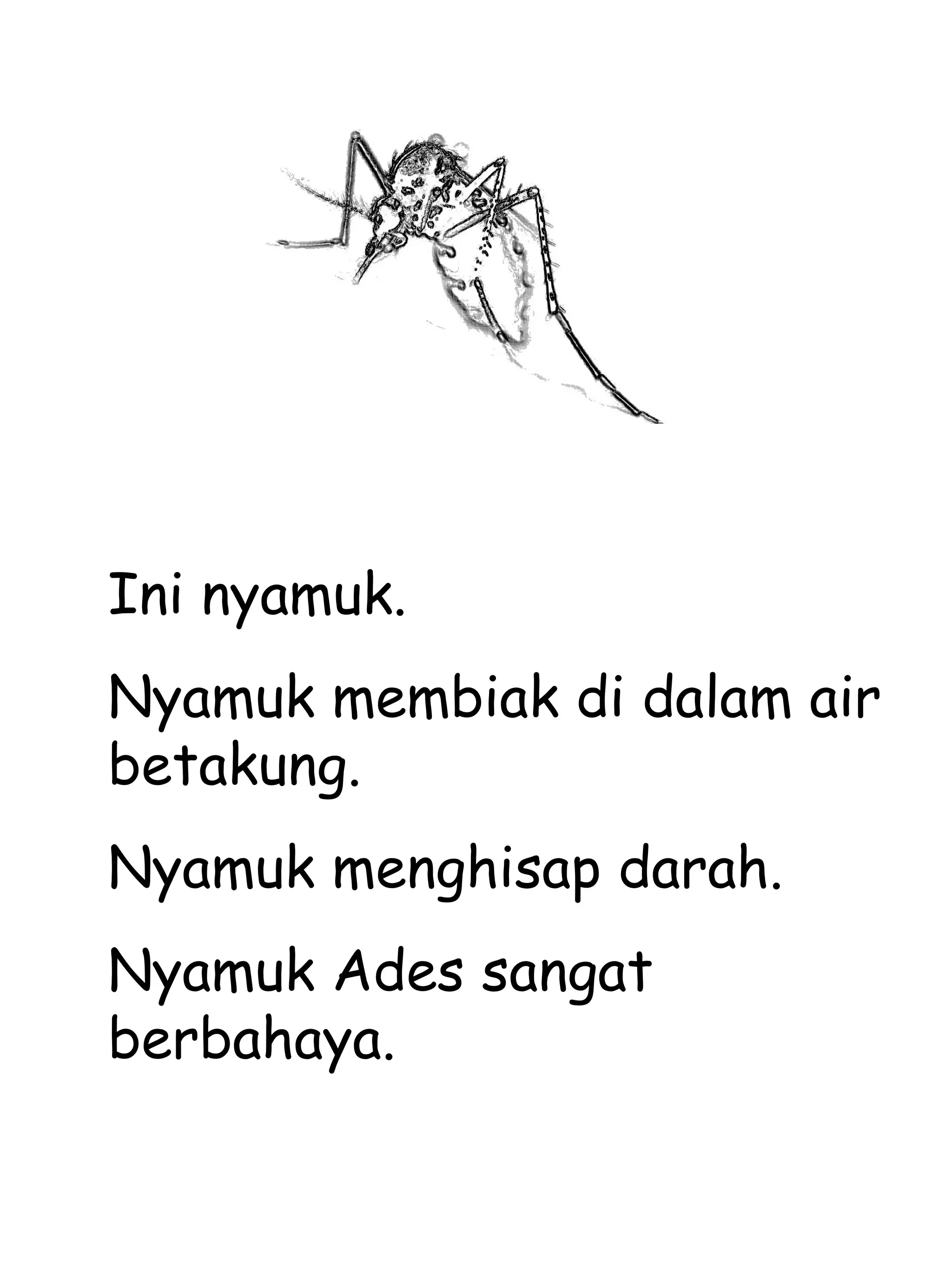 Ini nyamuk. Nyamuk membiak di dalam air betakung. Nyamuk menghisap darah. Nyamuk Ades sangat berbahaya. 