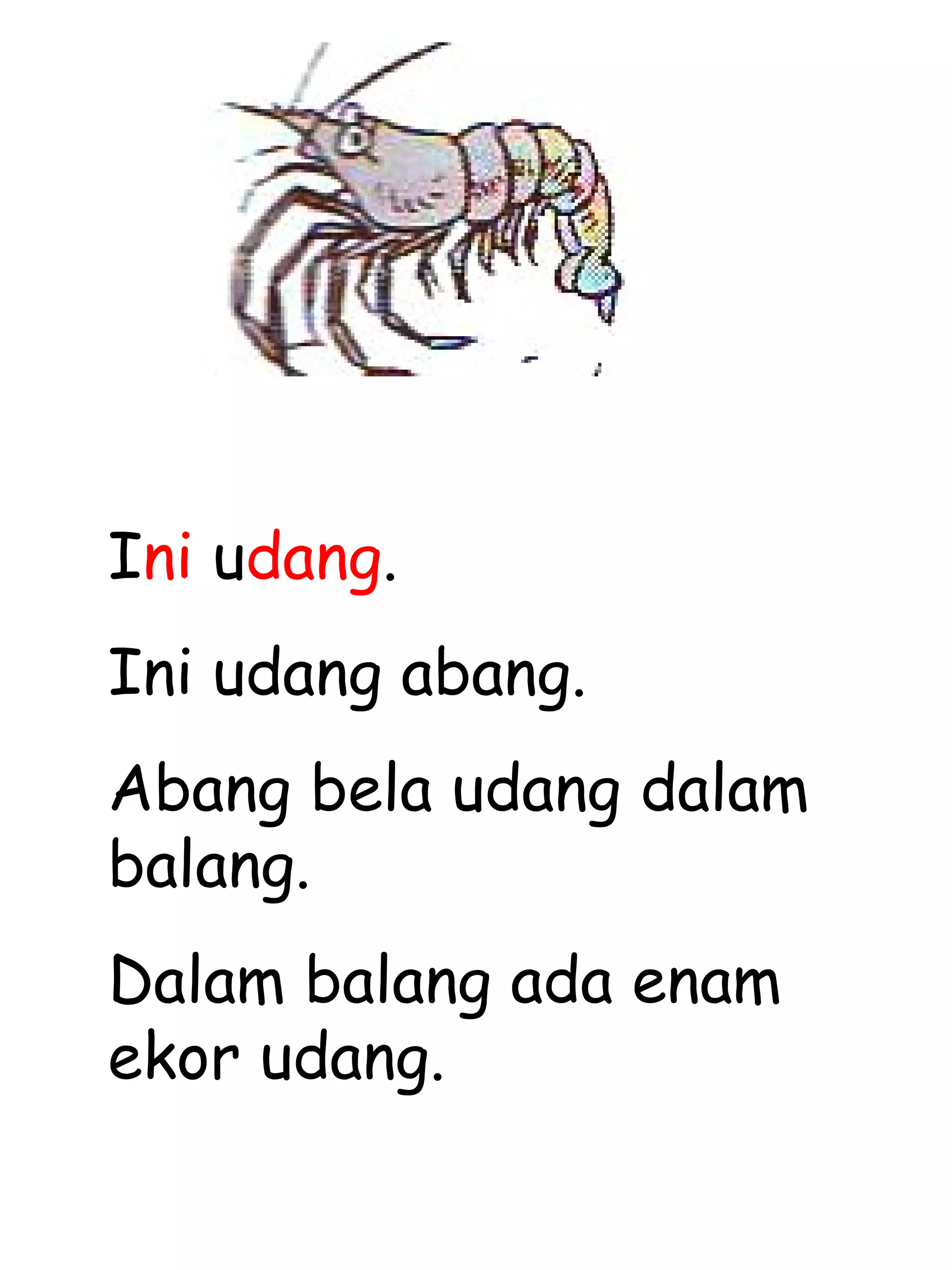 I ni  u dang . Ini udang abang. Abang bela udang dalam balang. Dalam balang ada enam ekor udang. 