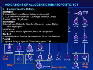 INDICATIONS OF ALLOGENEIC HEMATOPOIETIC SCT
3.    Lineage Specific Defects
Neutrophil –
Kostmann Syndrome (Congenital Agranulocytosis)
CGD, Schwachman Diamond, Leukocyte Adhesion Defect
Chediak Higashi Syndrome
Macrophage
Osteopetrosis, Metabolic Disorders (Gaucher, Hunter, Hurler,
     Leukodystrophy)
Lymphocyte
SCID, Wiskott Aldrich Syndrome, Reticular Dysgenesis
Red Cell
Diamond Blackfan Anemia, Thalassemias, Sickle Cell Disease
Platelet
Congenital Amegakaryocytic Thrombocytopenia, TAR




SCA
THAL

      CAMT                                                          SCID
                                                    Osteopetrosis   WAS
 