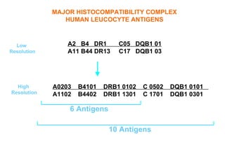 MAJOR HISTOCOMPATIBILITY COMPLEX
                HUMAN LEUCOCYTE ANTIGENS



  Low            A2 B4 DR1       C05 DQB1 01
Resolution       A11 B44 DR13    C17 DQB1 03




  High       A0203   B4101   DRB1 0102   C 0502   DQB1 0101
Resolution   A1102   B4402   DRB1 1301   C 1701   DQB1 0301

                 6 Antigens

                              10 Antigens
 