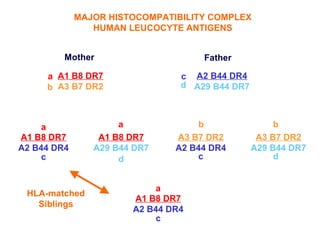MAJOR HISTOCOMPATIBILITY COMPLEX
                HUMAN LEUCOCYTE ANTIGENS


         Mother                     Father

     a A1 B8 DR7                c A2 B44 DR4
     b A3 B7 DR2                d A29 B44 DR7



     a               a              b                b
A1 B8 DR7        A1 B8 DR7     A3 B7 DR2         A3 B7 DR2
A2 B44 DR4      A29 B44 DR7    A2 B44 DR4       A29 B44 DR7
     c               d             c                 d


                            a
 HLA-matched
                       A1 B8 DR7
   Siblings
                       A2 B44 DR4
                            c
 