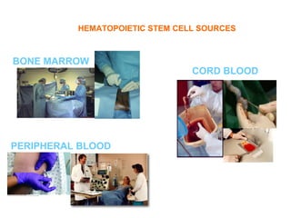 HEMATOPOIETIC STEM CELL SOURCES



BONE MARROW
                                CORD BLOOD




PERIPHERAL BLOOD
 