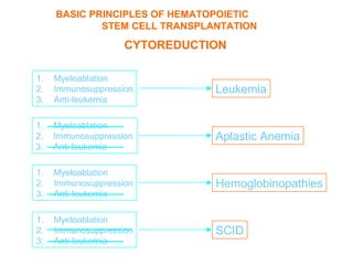BASIC PRINCIPLES OF HEMATOPOIETIC
             STEM CELL TRANSPLANTATION

                    CYTOREDUCTION

1.   Myeloablation
2.   Immunosuppression         Leukemia
3.   Anti-leukemia

1.   Myeloablation
2.   Immunosuppression         Aplastic Anemia
3.   Anti-leukemia

1.   Myeloablation
2.   Immunosuppression         Hemoglobinopathies
3.   Anti-leukemia

1.   Myeloablation
2.   Immunosuppression         SCID
3.   Anti-leukemia
 