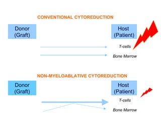CONVENTIONAL CYTOREDUCTION

                   Graft-Versus-Host Disease
  Donor                                          Host
  (Graft)                  Rejection
                                               (Patient)

  T-cells                                        T-cells

Bone Marrow                                    Bone Marrow



              NON-MYELOABLATIVE CYTOREDUCTION
                   Graft-Versus-Host Disease
  Donor                                          Host
  (Graft)                  Rejection           (Patient)
   T-cells                                       T-cells

Bone Marrow                                    Bone Marrow
 