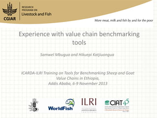 Experience with value chain benchmarking
tools
Samwel Mbugua and Hikuepi Katjiuongua

ICARDA-ILRI Training on Tools for Benchmarking Sheep and Goat
Value Chains in Ethiopia,
Addis Ababa, 6-9 November 2013

 