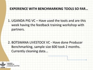 Experience with value chain benchmarking tools 